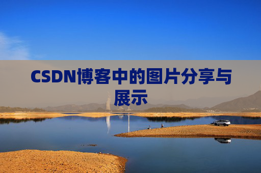 CSDN博客中的图片分享与展示